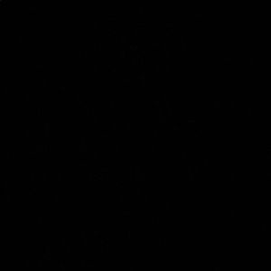 Meet your Posher, Tyshawn